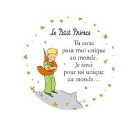 Magnet Petit Prince - Diseño de Príncipe de pie apretando cariñosamente a su zorro - Dimensiones: 5,5 cm
