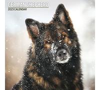 Magnet & Steel Shepherd 2023 - Calendario tradicional, multicolor