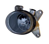MAGNETI MARELLI 710306200001 Luz diurna con lámpara Izquierda