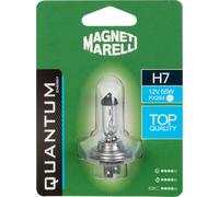 Magneti Marelli H7 Bombilla Halógena Solo Coche 12V 55W Ataque PX26d Imanes