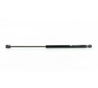MAGNETI MARELLI Muelle neumático para PEUGEOT: 307 (Ref: 430719041700)