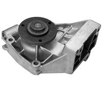 MAGNETI MARELLI Wasserpumpe 350981316000