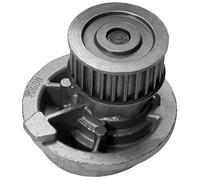 MAGNETI MARELLI Wasserpumpe 350981550000
