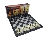 Magnetic Folding Chess Set with Classic Design, Enlightenment Game for Kids Beginners & Adults(Black+White,32cm)