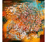 Magnetic Ghost Orchestra - Magnetic Ghost Orchestra - Holding on to a wonder [Vinilo]