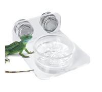 Magnetic Reptile Feeding Ledge, Suction Cup Food Tray, 3.39x2.6x1.18 Inches, Sturdy Secure Design, Detachable Easy Clean, Easy Install Gecko Feeder for Chameleons (Multicolor)