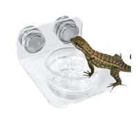 Magnetic Reptile Feeding Ledge, Suction Cup Food Tray for Gecko, Easy Installation Reptiles Feeding Station for Lizards, Chameleons and Tree Frogs, 3.39x2.6x1.57 Inches