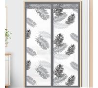 Magnética Cortina de Puerta Invierno,Cortinas Termicas Aislantes Frio y Calor per Puerta Cortina Invierno, EVA Translúcido Cortina Cocina Puerta per Exterior Salon (80x210cm)