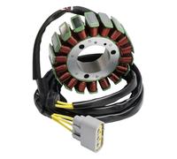Magneto del estator del generador apto for Stels Guepard 650800850, Dominator 800, RM
