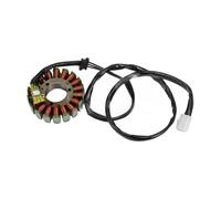 Magneto Estator Motocicleta Bobina De Estator De Motocicleta, Generador, Bobina De Estator De Magneto para ZR750 ZR-7 1999-2005 21003-1349, Conjunto De Bobina De Estator De Encendido