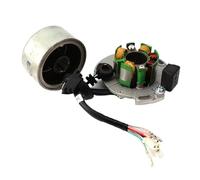Magneto Estator Motocicleta Kit De Rotor Y Estator De Magneto De Encendido De CA para Motocicleta, para Motores Horizontales Lifan LF150 De 150 CC, Dirt Pit Bike, Accesorios para Monkey
