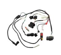 Magneto Stator Bobine Kit CDI Con Arnés Cables Cuádruple Para ATV De 50 Cc 70 Cc 90 Cc 110 Cc Y 125 Cc Con Magneto Y Estator Volante Inercia Arranque(125 150 200 250CC)