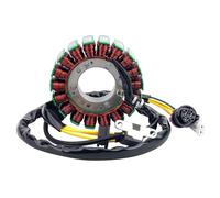 Magneto Stator Bobine Para Buyang 300 FA-H300 FA-D300 ATV 300B Para Feishen 300cc Big For Power 2.1.01.2060 2.1.01.2010 Bobina Estator Generador Motocicleta