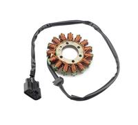 Magneto Stator Para S1000R K47 S1000RR K46 S1000XR K49 HP4 K42 Race K60 12318553990 12317718420 Bobina Estator Generador Magnético Motocicleta
