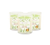 Magnificent 101 Set de 3 Velas de Salvia Pura de Larga Duración - 3.5 Oz cada una - 42 horas de duración | Naturales, Orgánicas, Libres de Petróleo y Parafina para Limpiar tu Hogar, Cuerpo & Mente