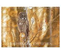 Magnifiques Emplumés (Calendrier mural 2026 DIN A4 vertical), CALVENDO calendrier mensuel: 13 photos d'oiseaux sauvages du Québec