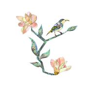 Magnolia Bird Decal Removable Vinyl, Clear Guitar Headstock Art