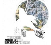 Magnolia Electric Co. - What Comes After the Blues [Vinilo]