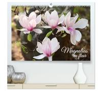 Magnolias en fleur (Calendrier mural 2026 DIN A2 vertical) calendrier de bureau: Magnifiques portraits de fleurs lumineuses