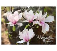 Magnolias en fleur (Calendrier mural 2026 DIN A3 vertical), CALVENDO calendrier mensuel: Magnifiques portraits de fleurs lumineuses