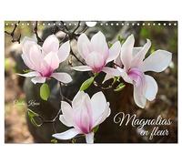 Magnolias en fleur (Calendrier mural 2026 DIN A4 vertical), CALVENDO calendrier mensuel: Magnifiques portraits de fleurs lumineuses