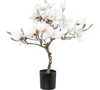 Magnolio con LED, cubierto de nieve en maceta de plástico, blanca