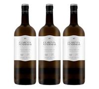 Magnum Cuarenta Vendimias Verdejo - Vino Blanco DO Rueda (1 Botella x 1,5l)