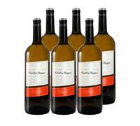 Magnum Cuatro Rayas Verdejo - Vino Blanco DO Rueda (6 Botellas x 1,5L)