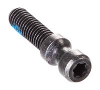 Magura Tornillo cierre rápido para Evo 2 Torx gris T25