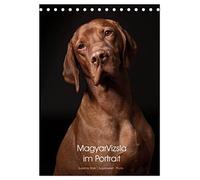 Magyar Vizsla im Portrait (Tischkalender 2026 DIN A5 hoch), CALVENDO Monatskalender: Der Magyar Vizsla im Portrait. Jeden Monat ein neues, schönes Portrait dieser tollen Jagdhunde.