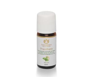 Maharishi Ayurveda "Prandhara" - Aceite de hierbas ayurvédicas con menta | Aceite Ayurveda Allrounder | Ideal para el uso diario | Ayuda en caso de malestar general | Frasco de vidrio de 10 ml