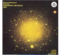 Mahavishnu Orchestra - Between Nothingness & Etern