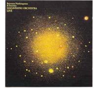 Mahavishnu Orchestra - Between Nothingness & Eternity