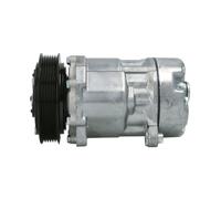 Compresor del aire acondicionado R 134 a PAG 46 ACP 1017 000S MAHLE para VW
