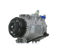 Compresor del aire acondicionado R 134 a PAG 46 ACP 23 000S MAHLE