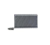 MAHLE AE 109 000P Evaporador aire acondicionado con juntas con válvula de expansión
