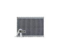 MAHLE AE 124 000P Premium Line - Vaporizador