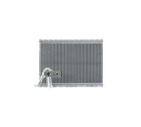 MAHLE AE 124 000P Premium Line - Vaporizador