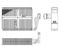 MAHLE AE 53 000P Premium Line - Vaporizador