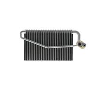 Mahle AE 55 000P - Vaporizador