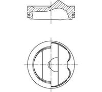MAHLE Aftermarket Pistón para AUDI: S5, A6, S4, Q5, A8, SQ5, A4, A5, Q7, A7 & VOLKSWAGEN: Touareg (Ref: 028 PI 00125 000)