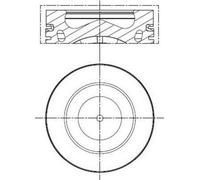 MAHLE Aftermarket Pistón para AUDI: TT, A5, A3, Q5, A4, A6 & VOLKSWAGEN: Tiguan, Eos, Golf, Jetta, Amarok, Transporter, Passat (Ref: 028 PI 00100 002)