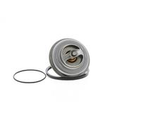 Termostato, refrigerante BEHR MAHLE TX 75 80D