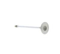 MAHLE Aftermarket Válvula de admisión para OPEL: Vectra, Corsa, Meriva, Zafira, Astra, Combo, Tigra & VAUXHALL: Astra, Corsa (Ref: 011VE30337000)