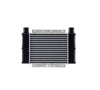 MAHLE CI 545 000P - Ventilador de carga