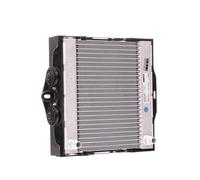 Piezas de motor > Refrigeración de motor > Radiador, refrigeración del motor