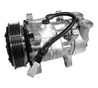 MAHLE Kompressor, Klimaanlage ACP1095000P