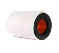 Filtros y aceite > Filtro > Filtro de aire (de coche)