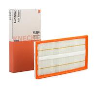 Filtros y aceite > Filtro > Filtro de aire (de coche)