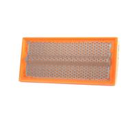 Filtros y aceite > Filtro > Filtro de aire (de coche)